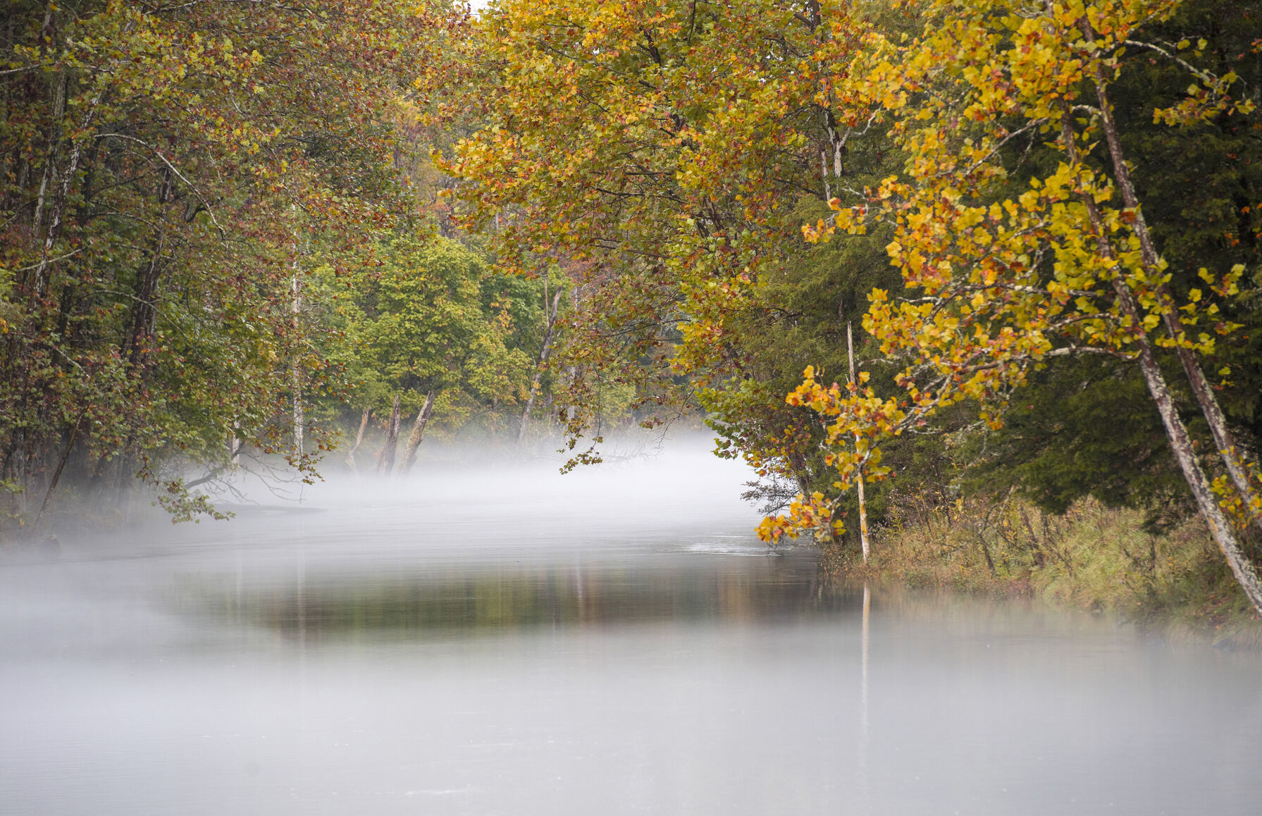 Fall Color Begins